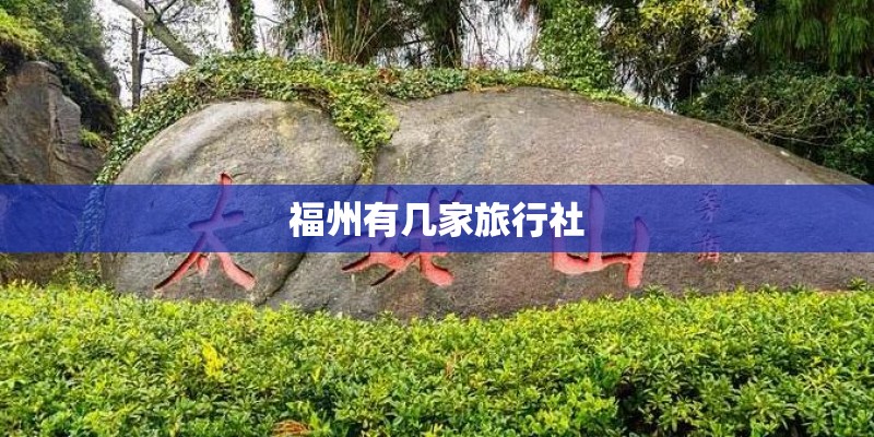 福州有几家旅行社
