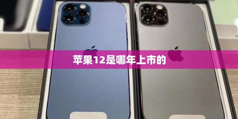 苹果12是哪年上市的