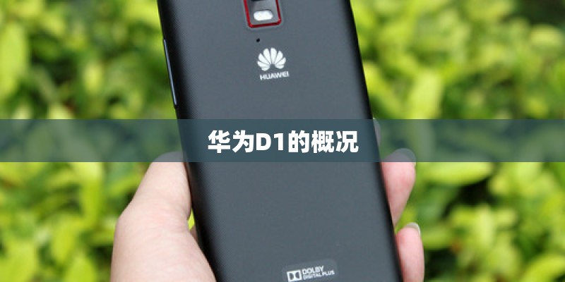 华为D1的概况