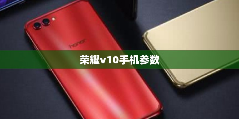 华为D1的概况