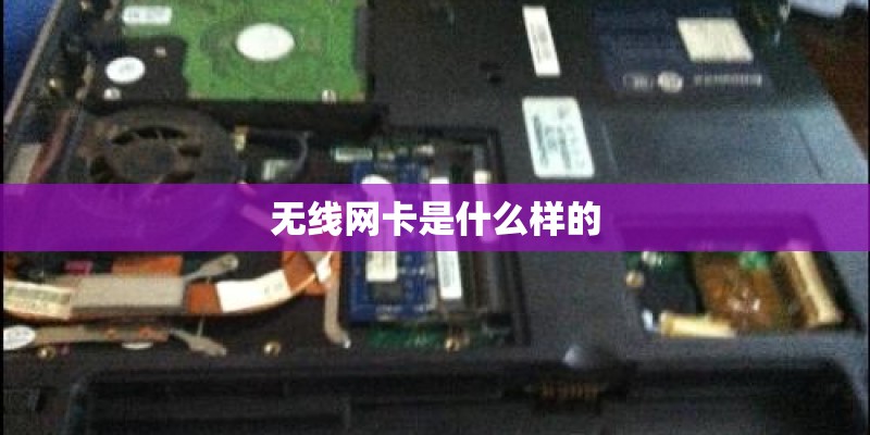 OPPO A79与OPPOA73区别？