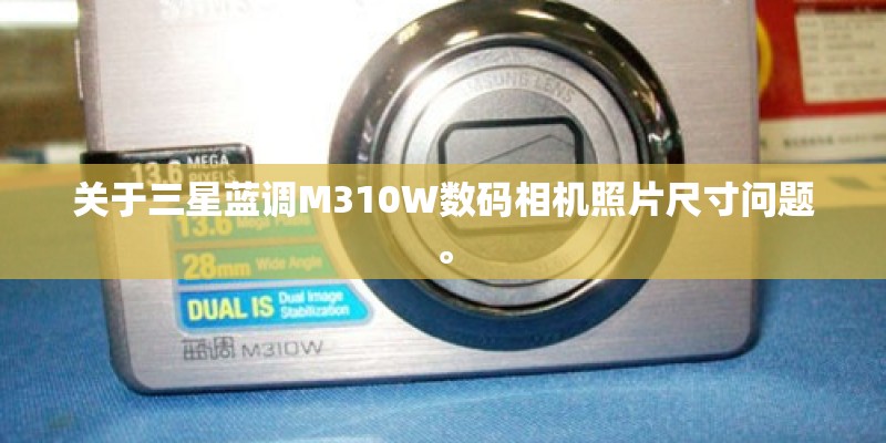 关于三星蓝调M310W数码相机照片尺寸问题。