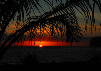 国产车逆袭发展之路