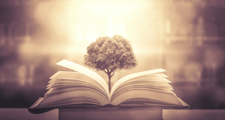 买国产车真的没面子吗？