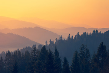 国产车逆袭发展之路