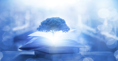 国产车比亚迪真的如你想象中的那么好吗？