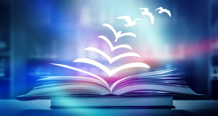 乒乓球区角活动介绍