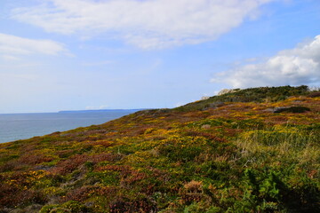 国产车比亚迪真的如你想象中的那么好吗？