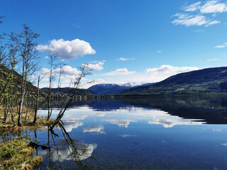 乒乓球区角活动介绍