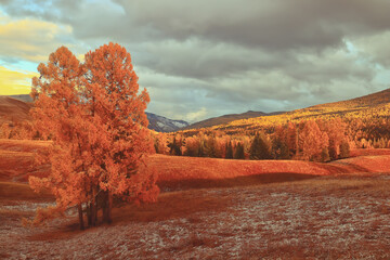 乒乓球十大恐怖发球