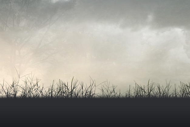 买国产车真的没面子吗？