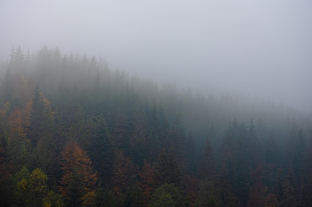 买国产车真的没面子吗？