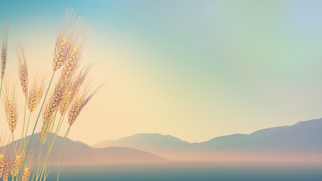 买国产车真的没面子吗？