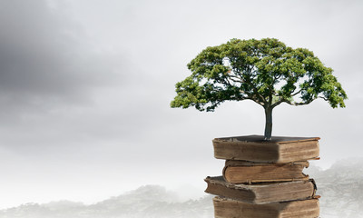 长安马自达是国产车吗-