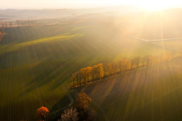 乒乓球世界冠军马龙现在怎么样了？